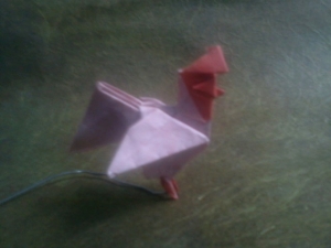 Rooster