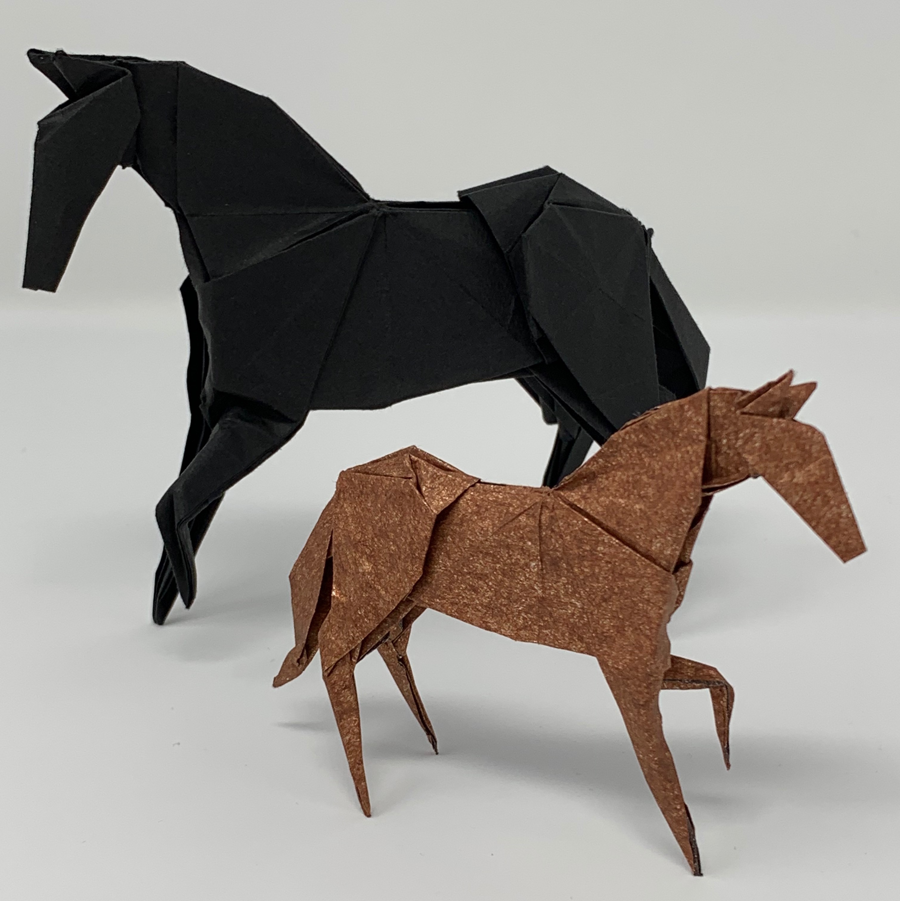 model image