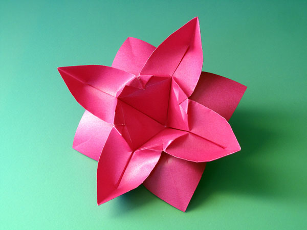 Eight Petaled Flower