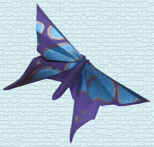 model image
