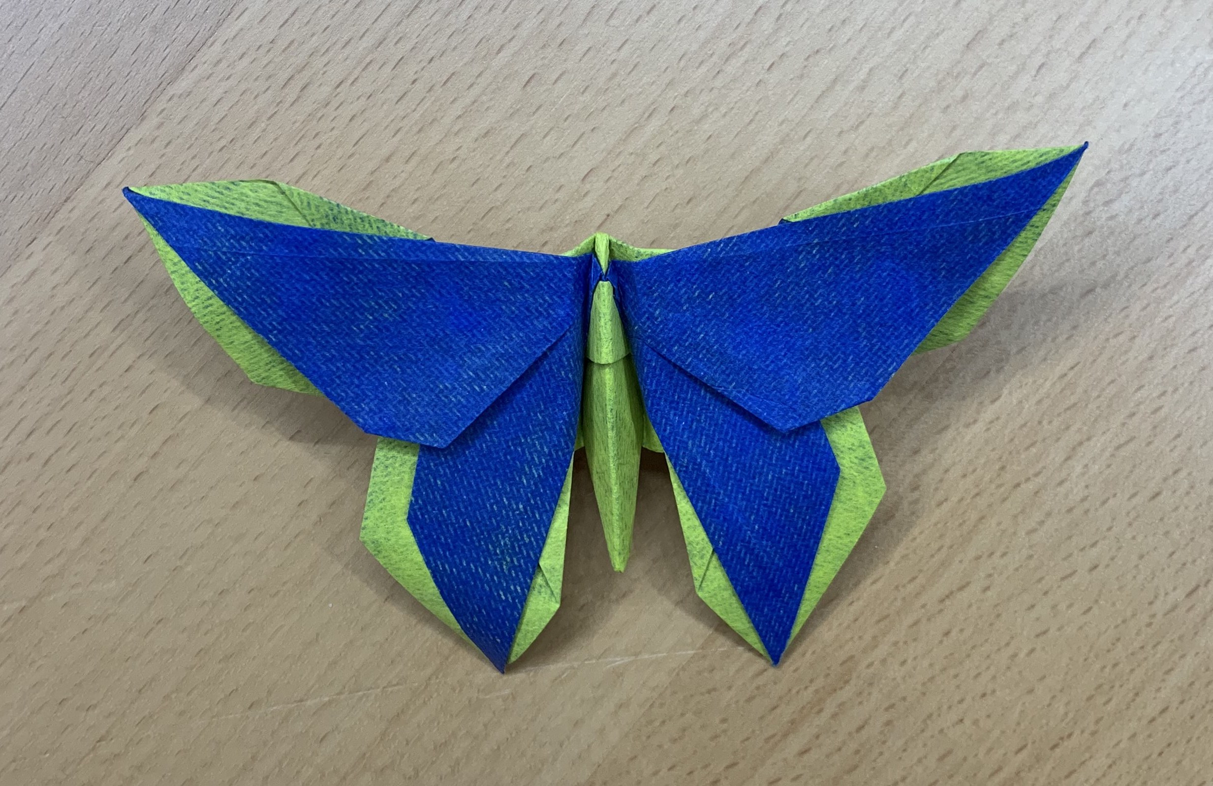 model image