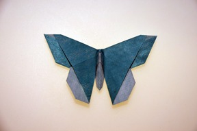 A Butterfly for Kyoko Kondo