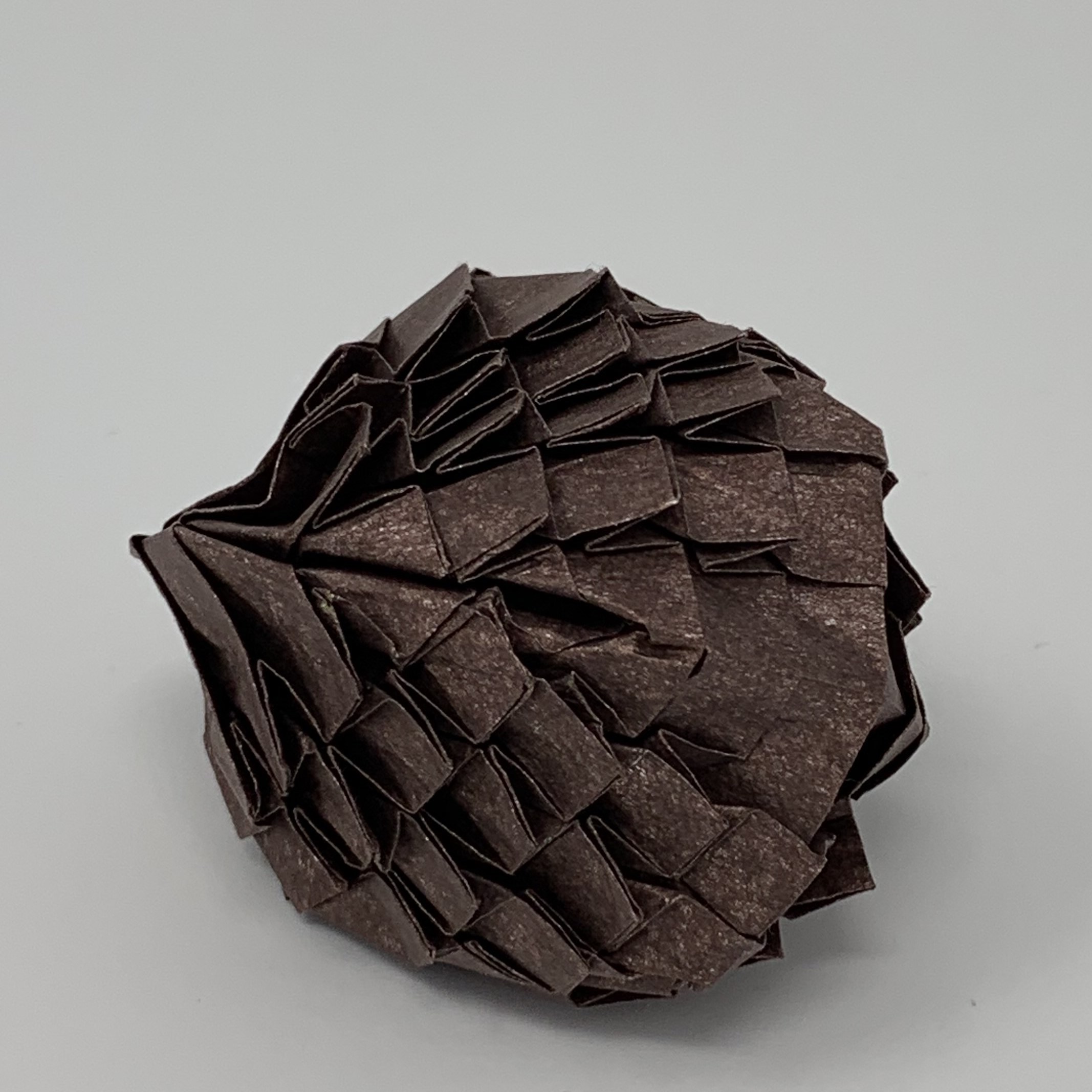 Pine Cone