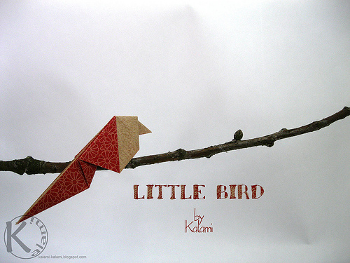 Little Bird