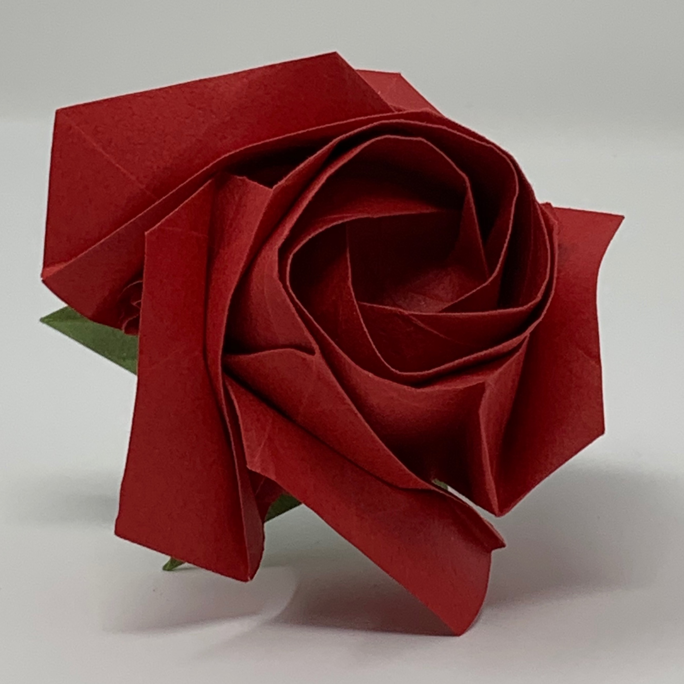 Simple rose