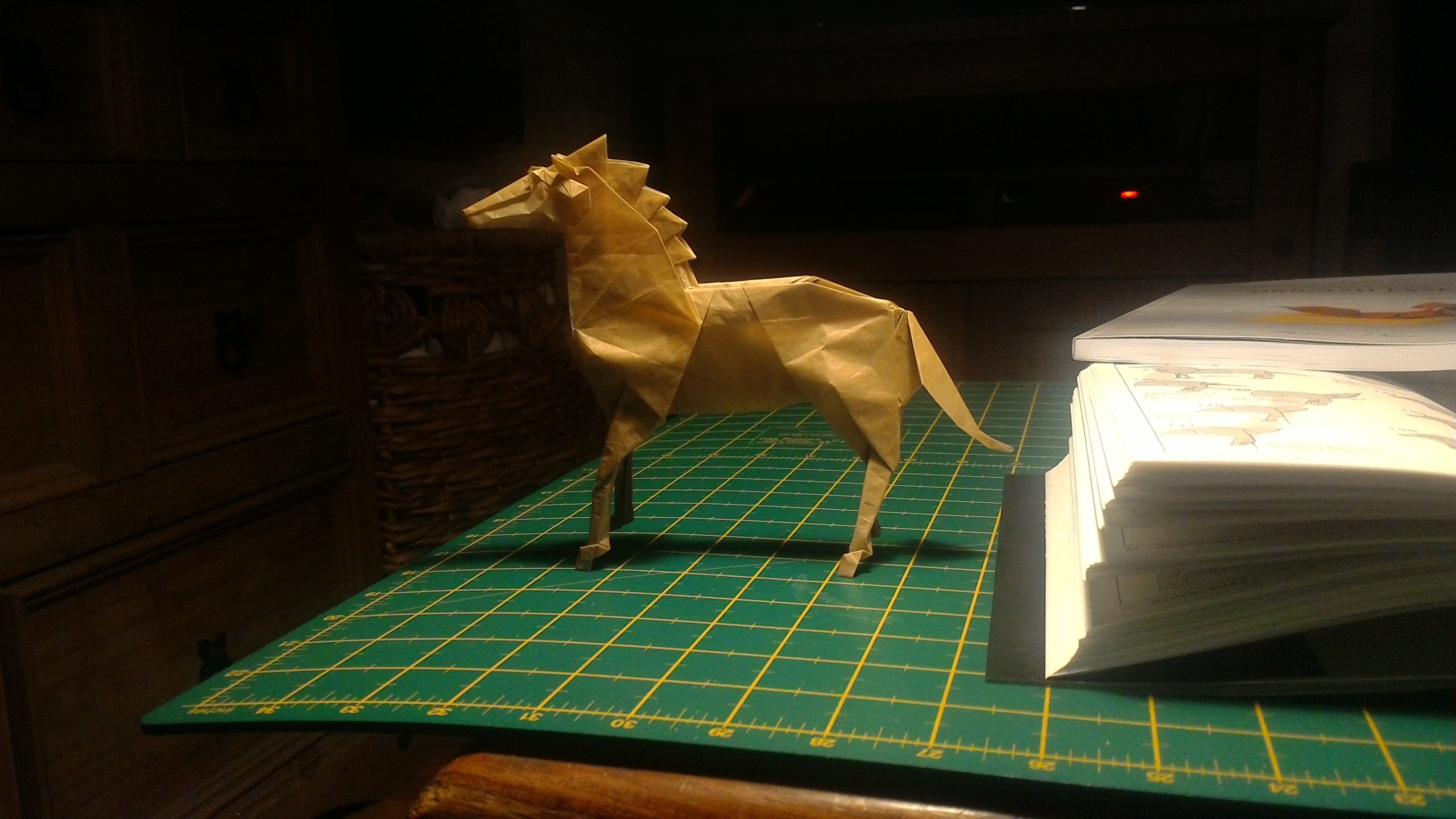 model image
