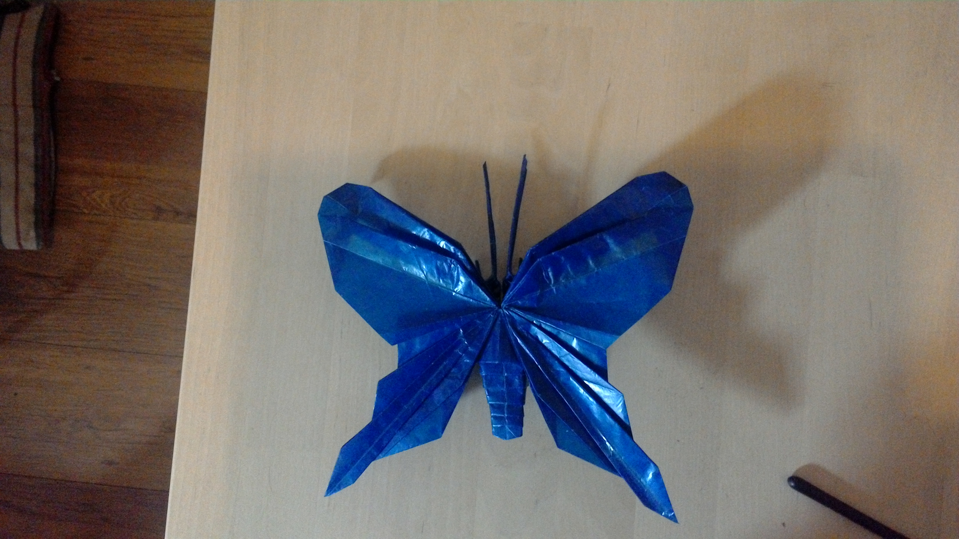 model image