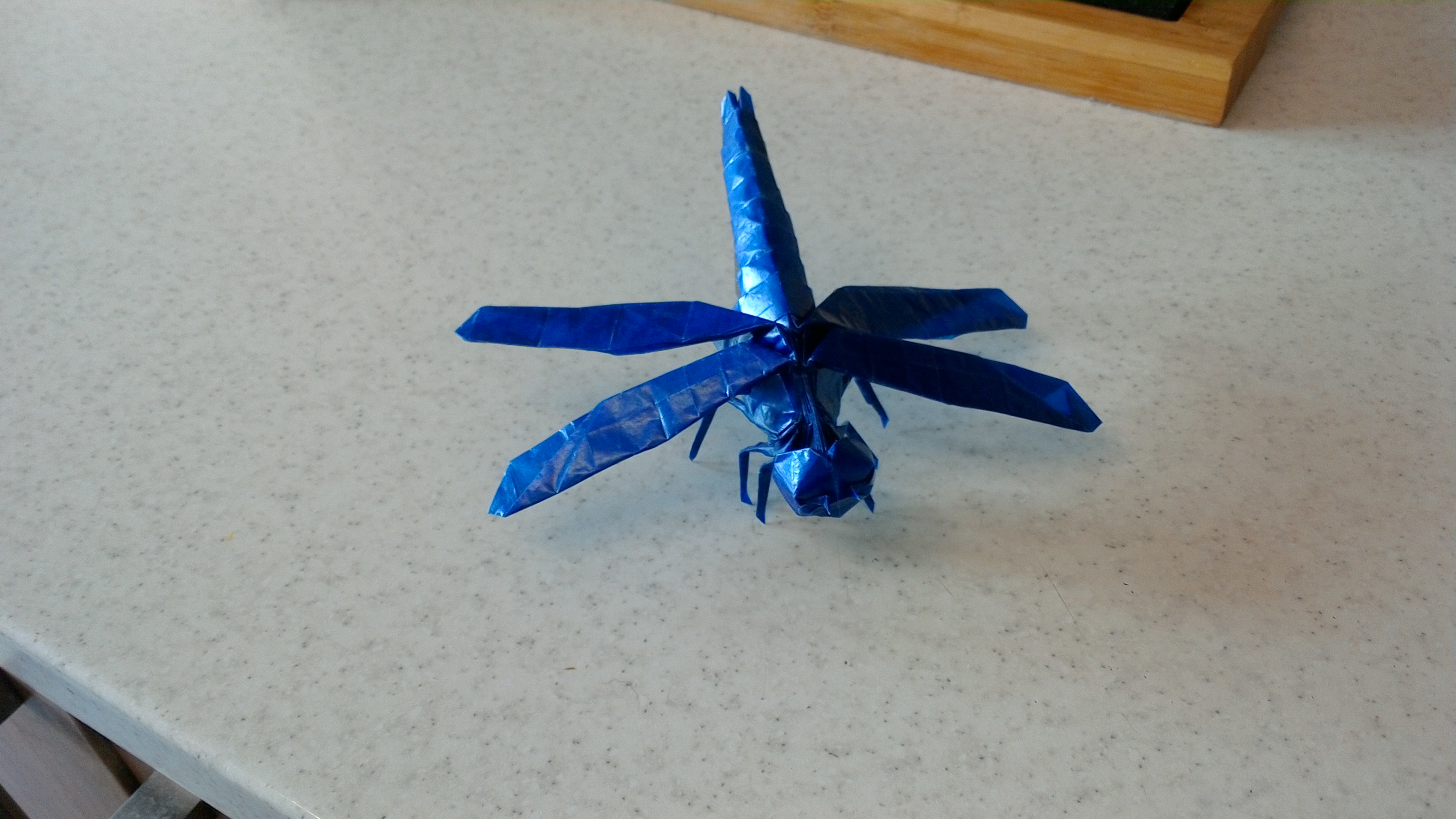 model image