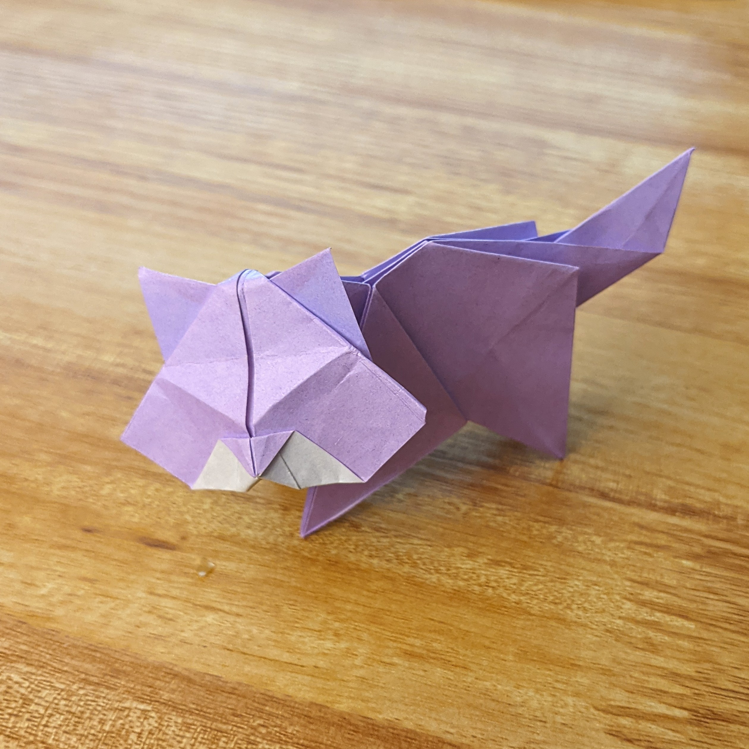 model image