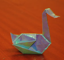 Swan