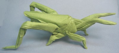 model image