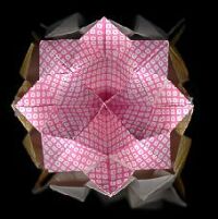 Lotus Kusudama