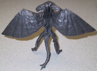 model image