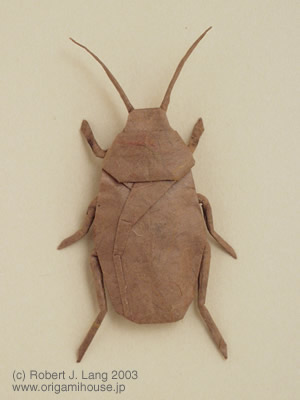 Cockroach