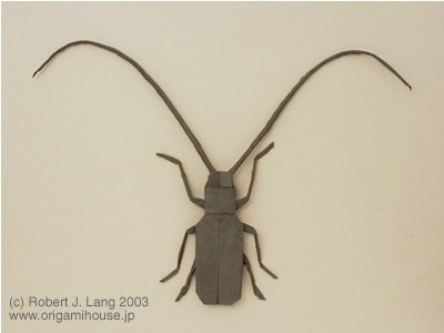 Longhorn Beetle