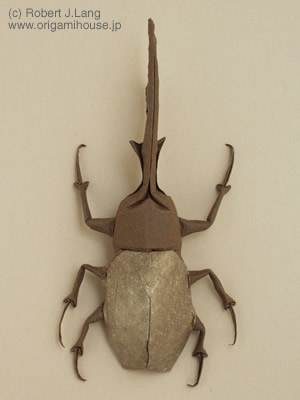 Hercules Beetle