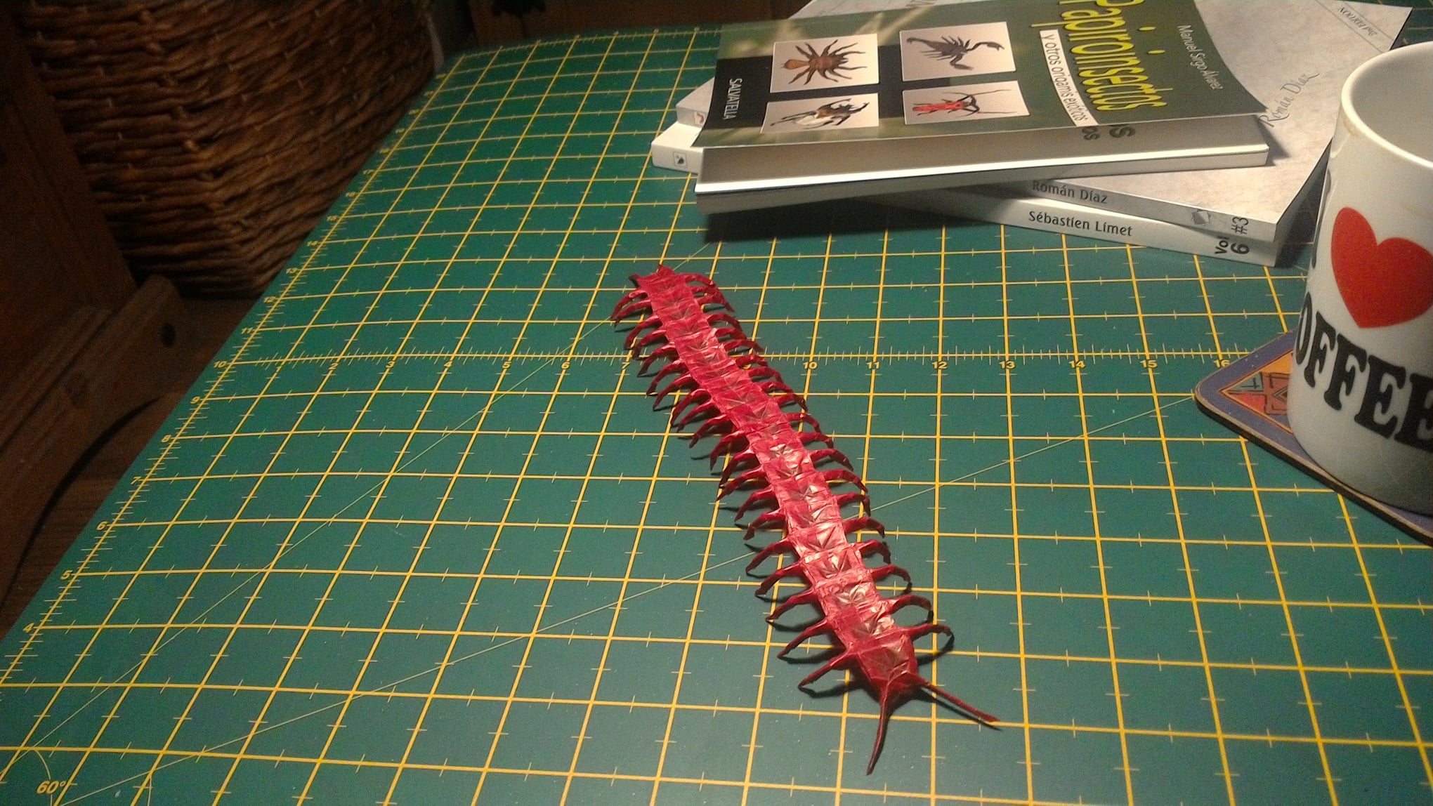 Centipede