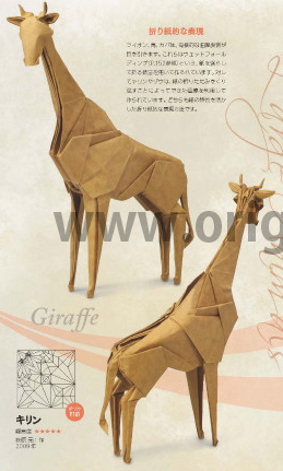 Giraffe