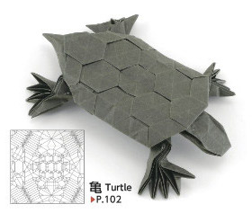 Turtle