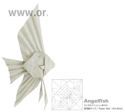 Angelfish