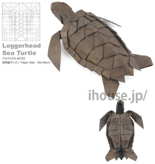 Loggerhead Sea Turtle