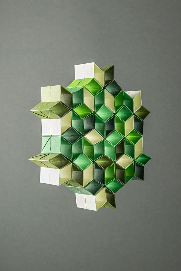 model image