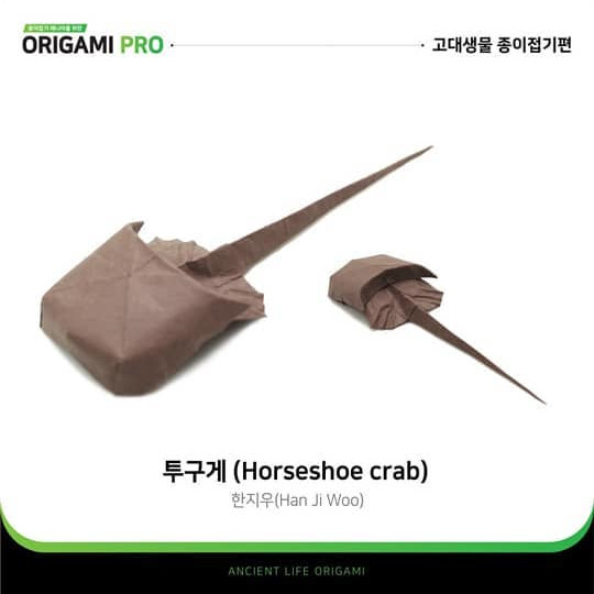 Horseshoe crab