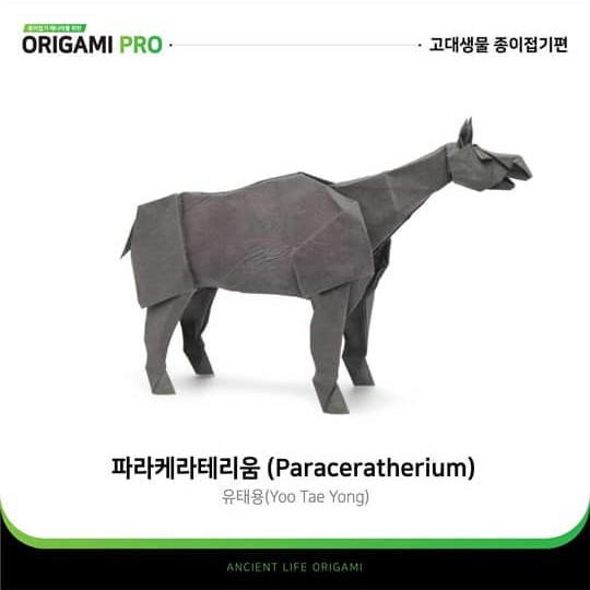 Paraceratherium