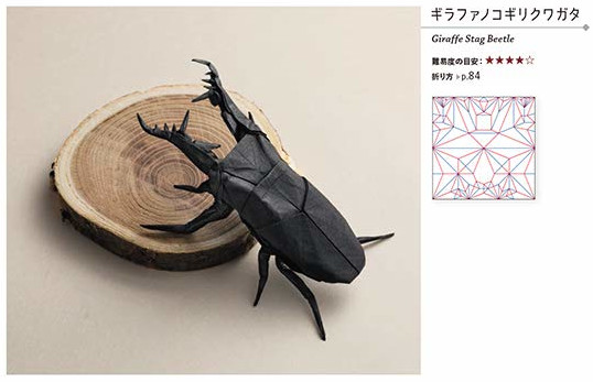 Giraffe Stag Beetle