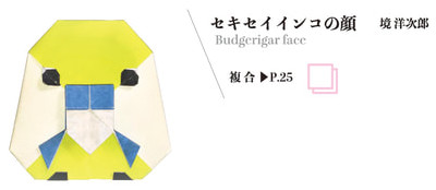 Budgerigar face