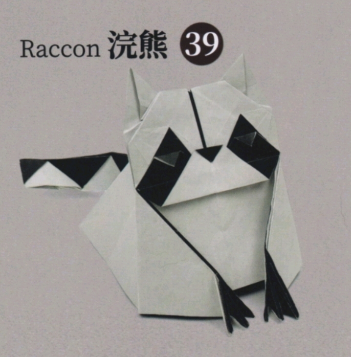 Raccoon