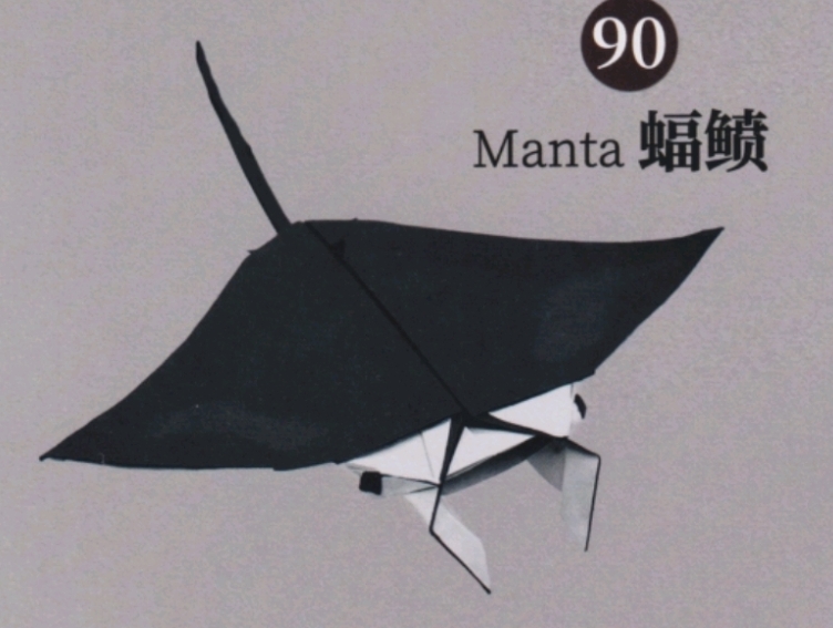 Manta fiish