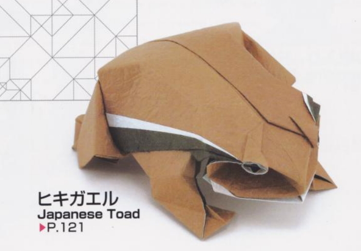 Japanese Toad