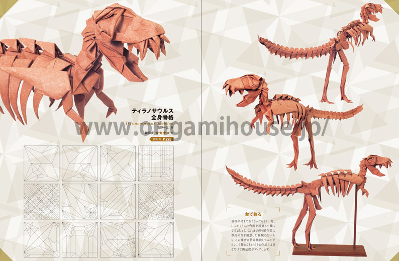 model image
