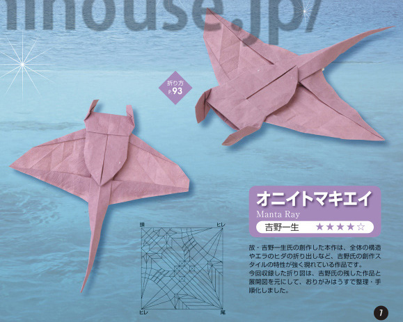 Manta Ray