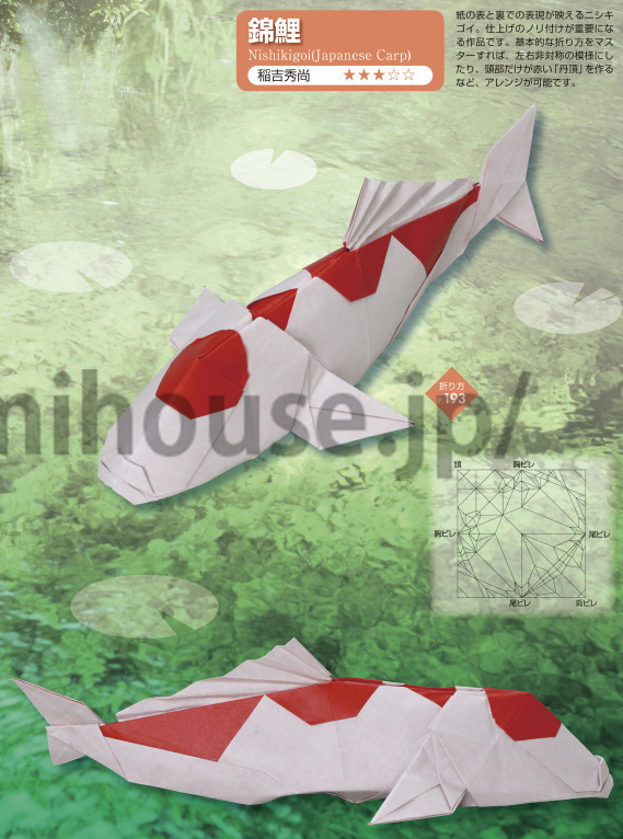 Nishikigoi (Japanese Carp)