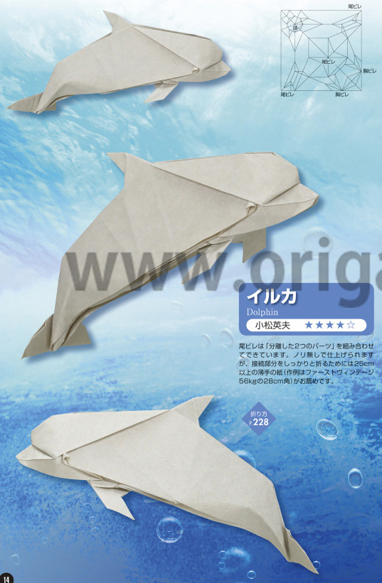 Dolphin