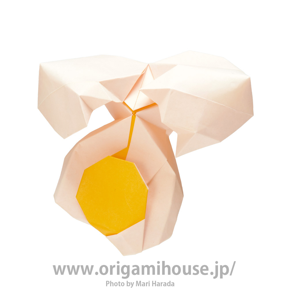 Egg