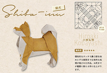 Shiba-inu