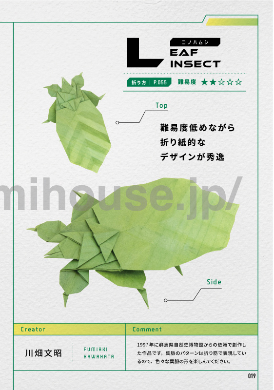 Leaf Insect