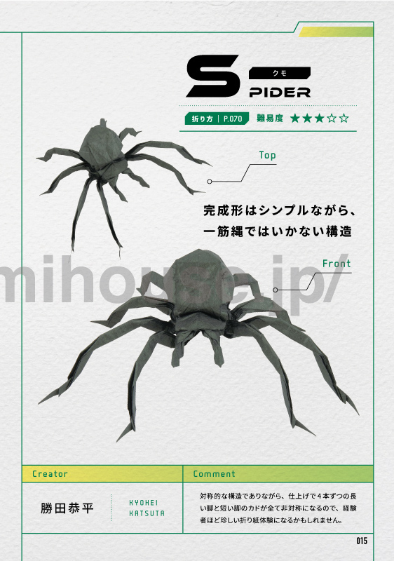 Spider