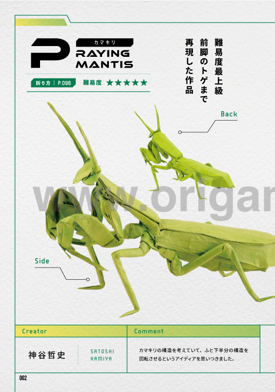 Praying Mantis