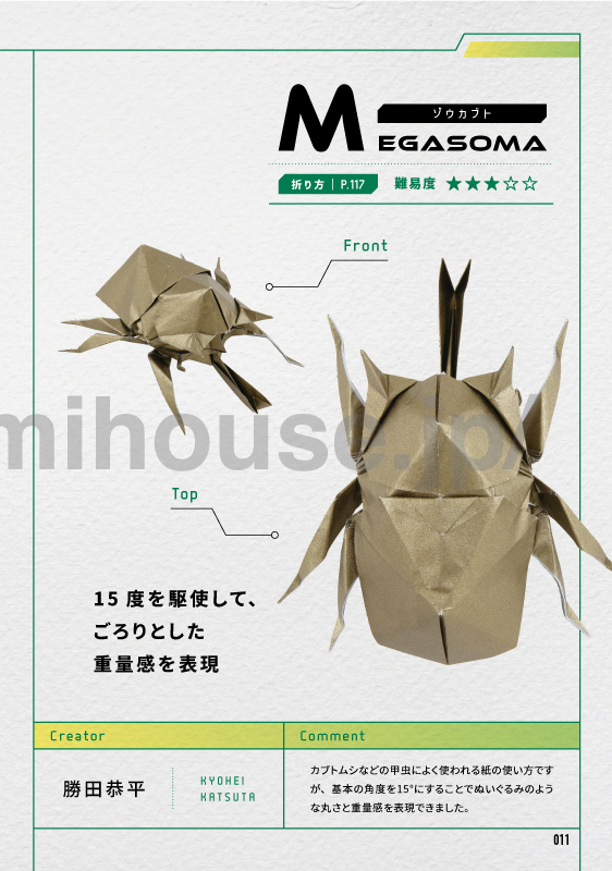 Megasoma