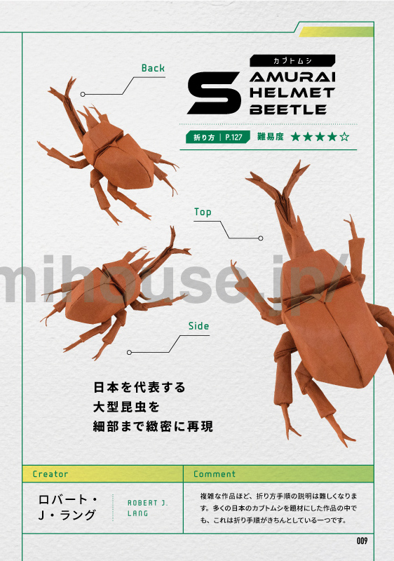 Samurai Helmet Beetle