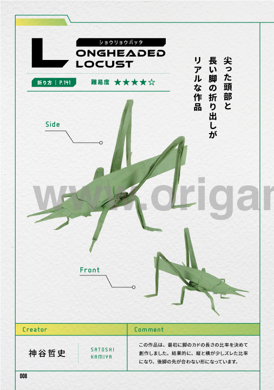 Longheaded Locust