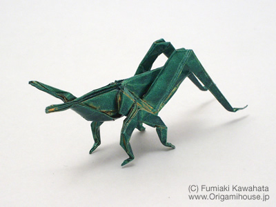 Japanese Giant Grasshopper