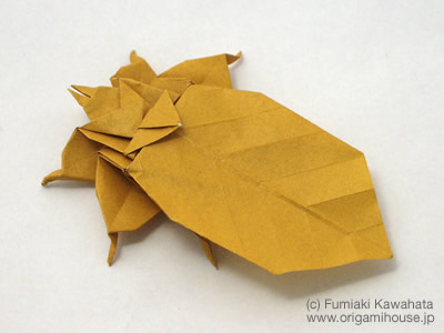 Leaf Insect