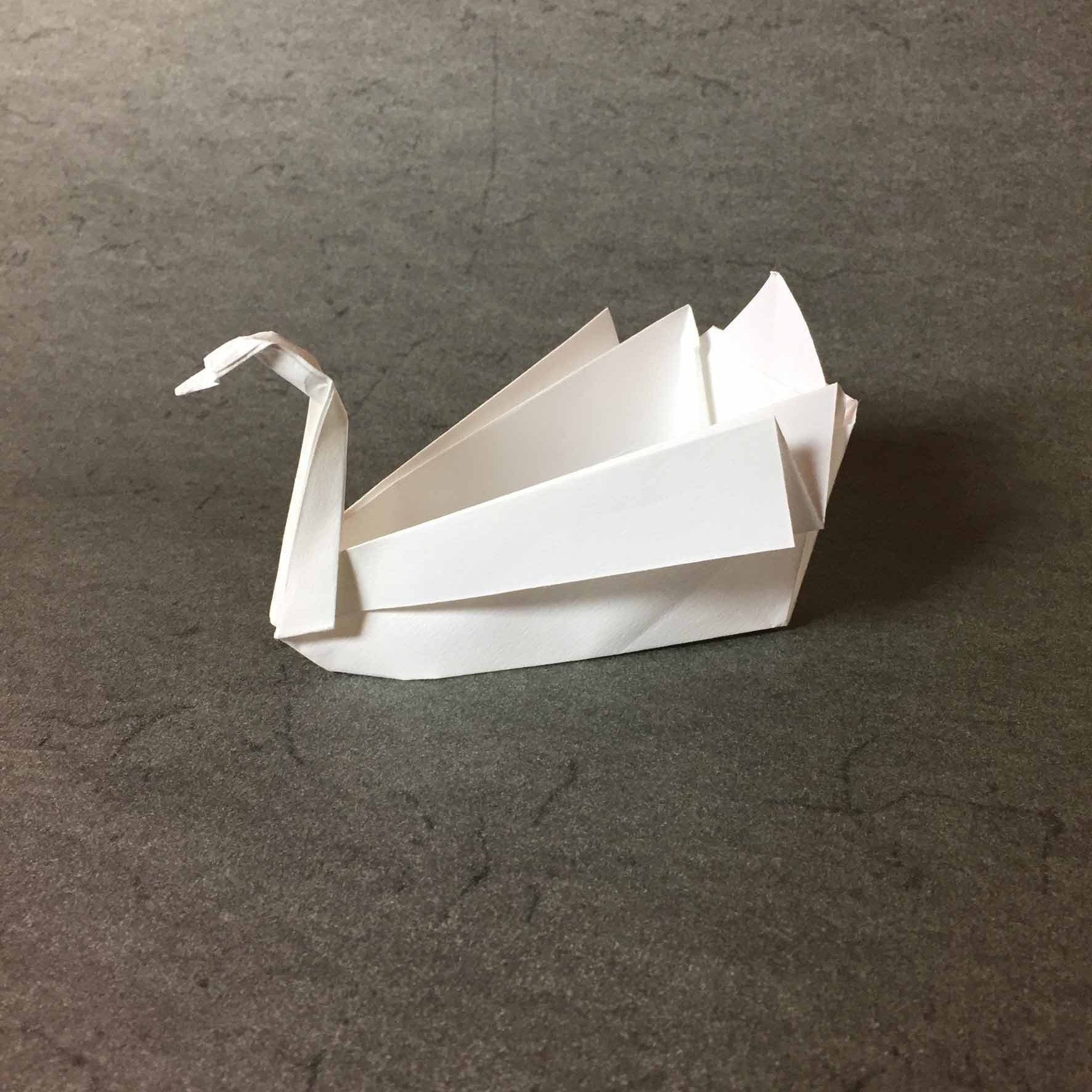 Boat Modelled on Swam