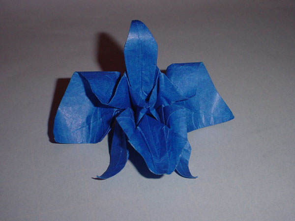 model image
